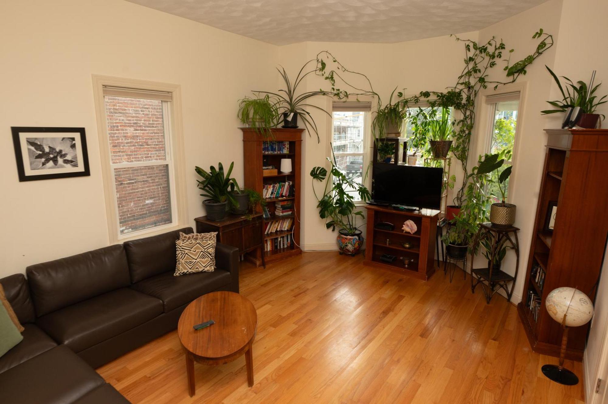 2 Bedroom Boston Condo In Jamaica Plain With Parking Екстериор снимка
